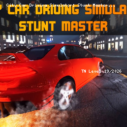 City Car Driving Simulator: Stunt Master