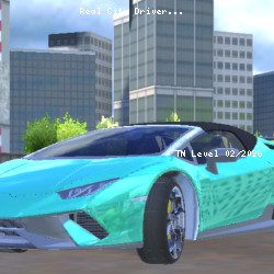 Real City Driver