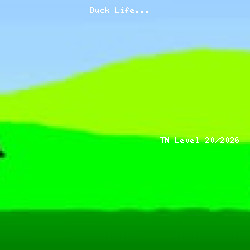 Duck Life