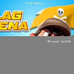 Flag Arena