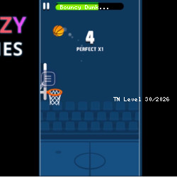 Bouncy Dunk