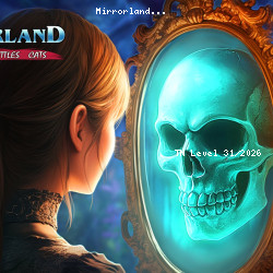 Mirrorland
